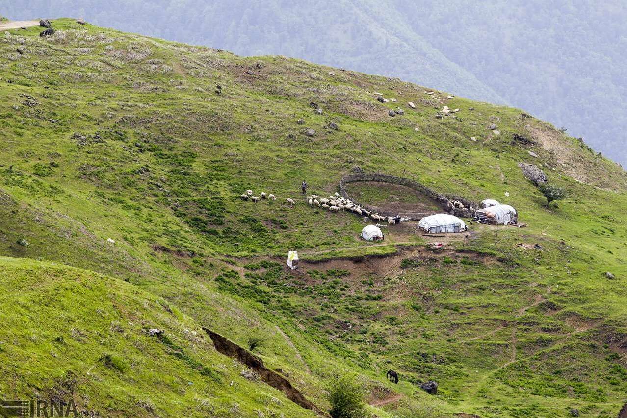 بازگشت ۴۷۰ هکتار از مراتع گنبدکاووس به منابع طبیعی پس از ۵۰ سال