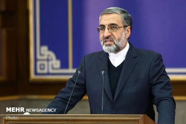 سخنگوی قوه قضاییه: دولت پاسخگوی تاخیر ۴۸۵ روزه درباره لایحه صیانت بانوان باشد