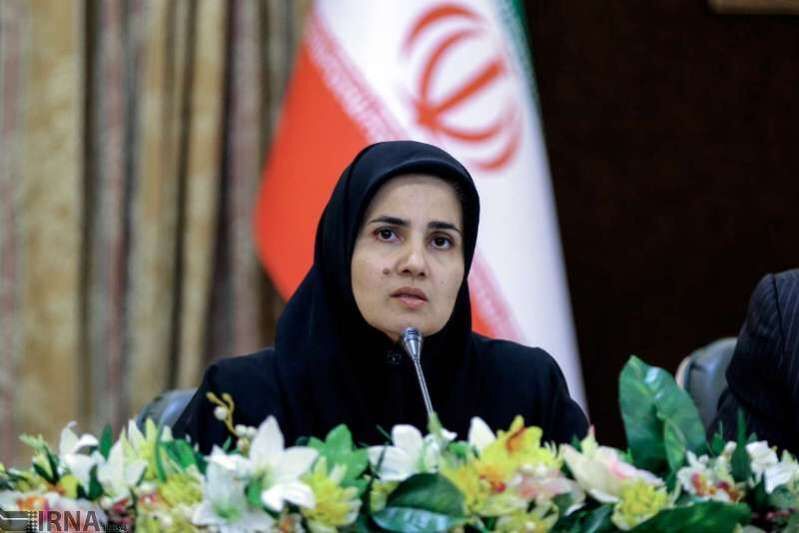معاون حقوقی رئیس‌جمهوری:  تبدیل انواع شرکت‌های تجاری به یکدیگر منع حقوقی ندارد