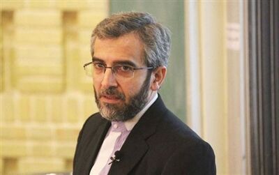دبیر ستاد حقوق بشر اعلام کرد: لزوم آزادی سریعتر دانشمند ایرانی برای پایان دادن به نگرانی‌ها