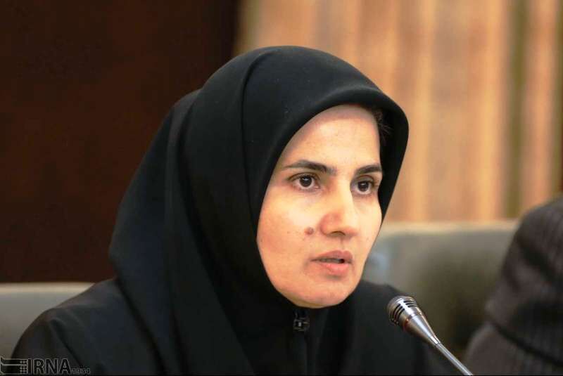 جنیدی:  نظرات شورای نگهبان در لایحه پالرمو تامین شده است
