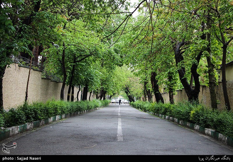 زمین ۳۰۰۰ متری سعادت‌آباد که به‌جای حسینیه تبدیل به برج شد!!