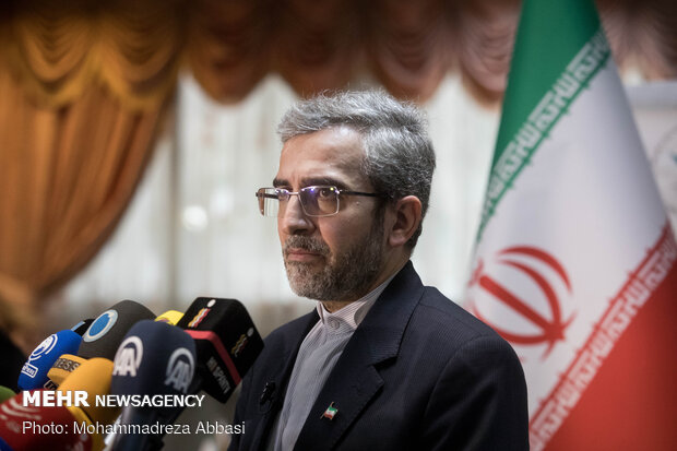 تهیه گزارش‌های نقض حقوق بشر در فلسطین و یمن