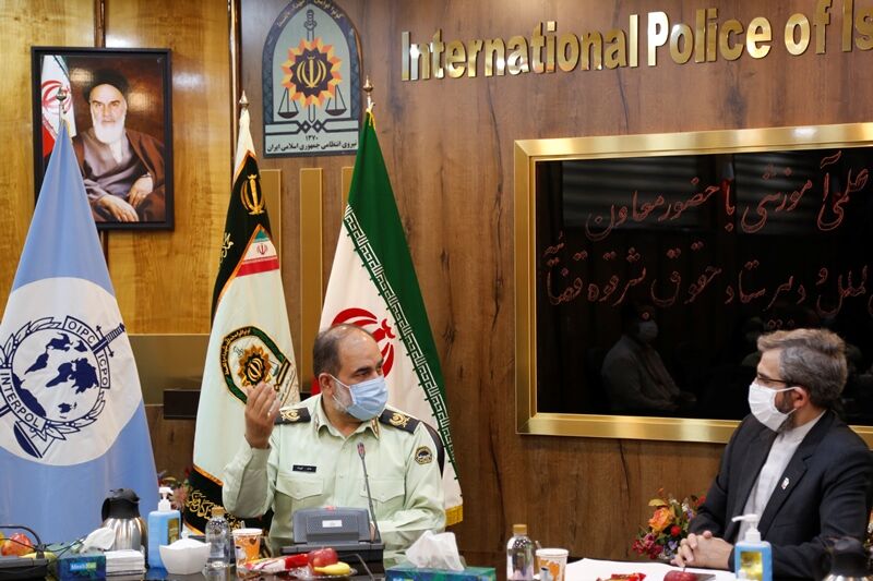 دستگاه قضا و پلیس بین‌الملل مکمل یکدیگر در امنیت‌آفرینی